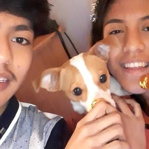 Meet your Posher, Pablo